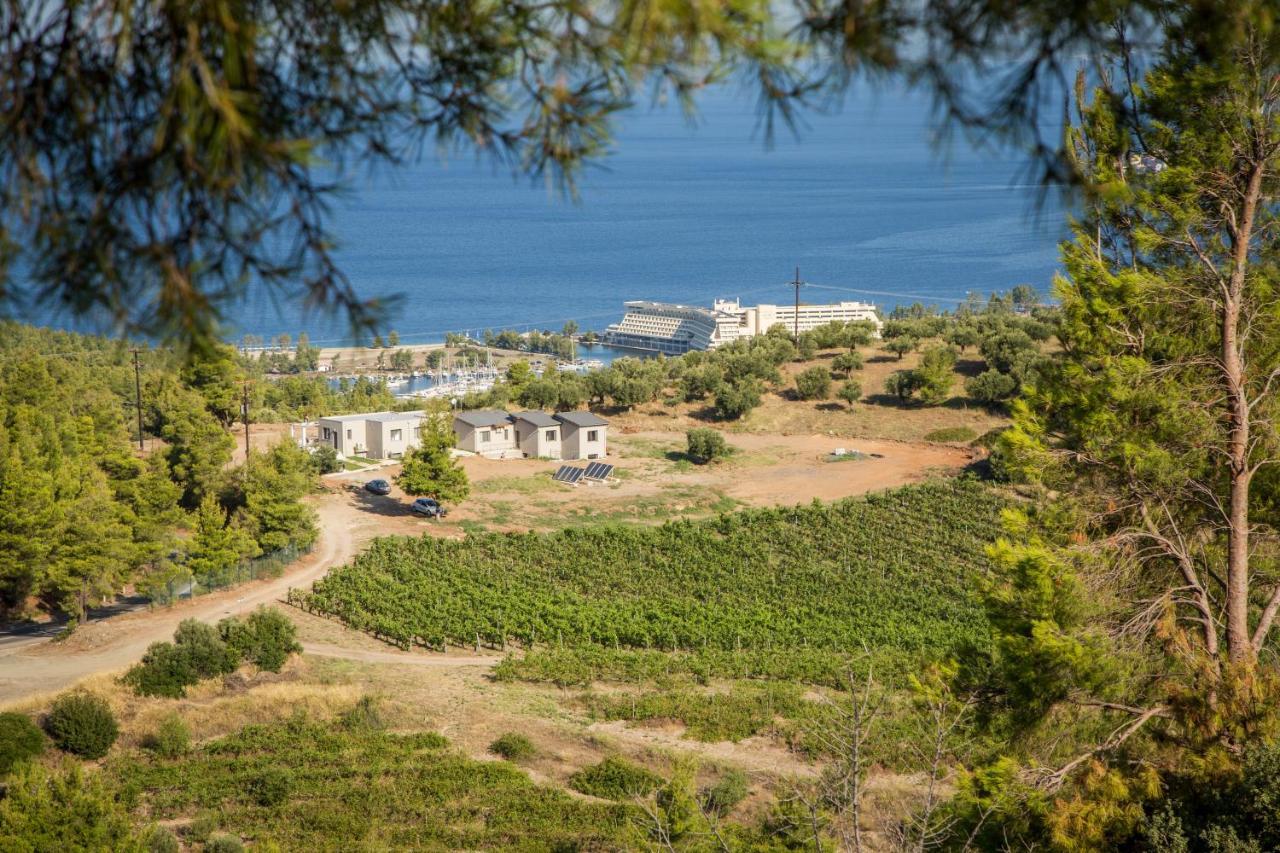 Aparthotel Alikon Adult-Only Neos Marmaras Esterno foto